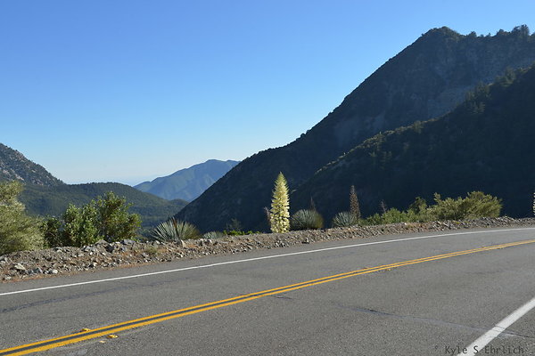 DSC 4448