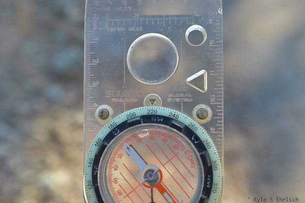 DSC 4318