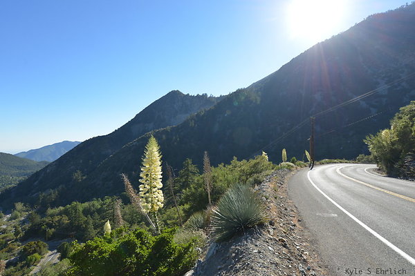 DSC 4389