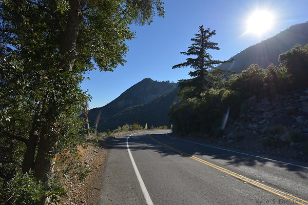 DSC 4478
