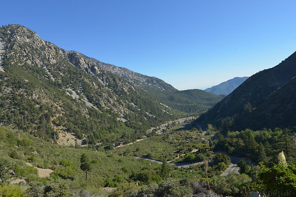 DSC 4392