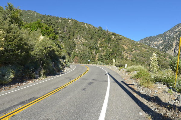 DSC 4414