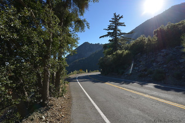 DSC 4477