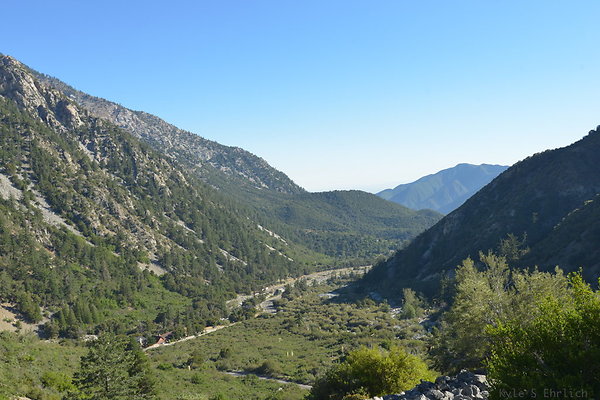 DSC 4362