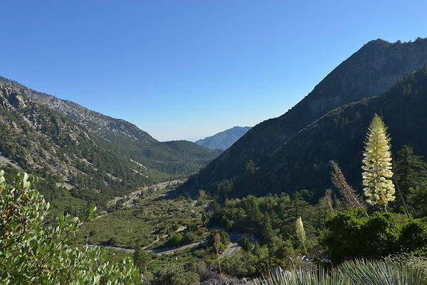 DSC 4386