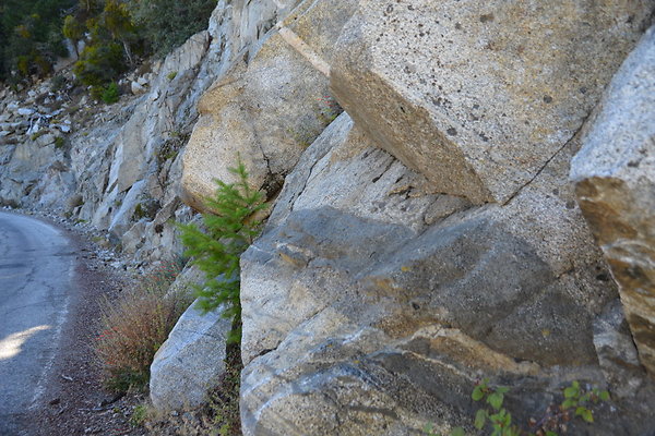 DSK 0207
