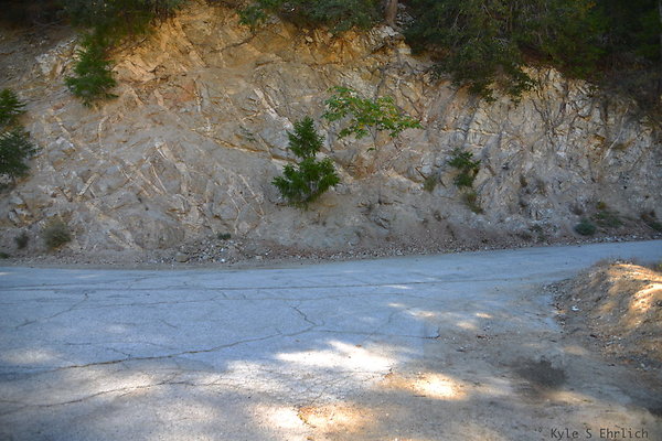 DSK 0499