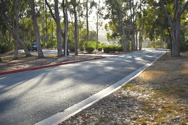 DSC 5418