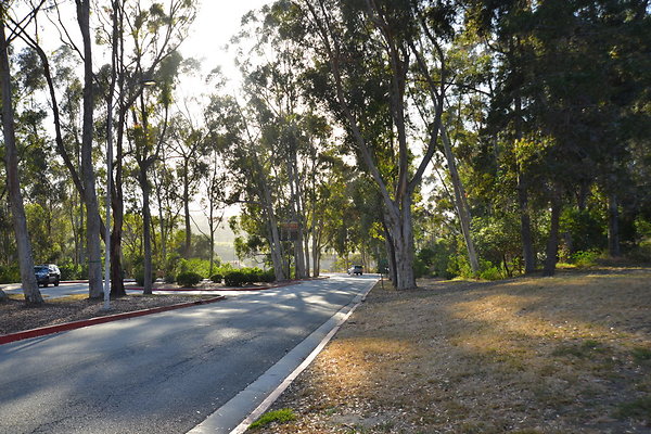 DSC 5426