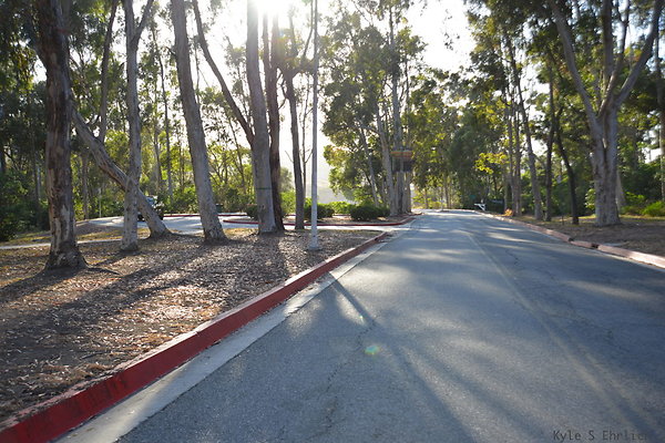 DSC 5438