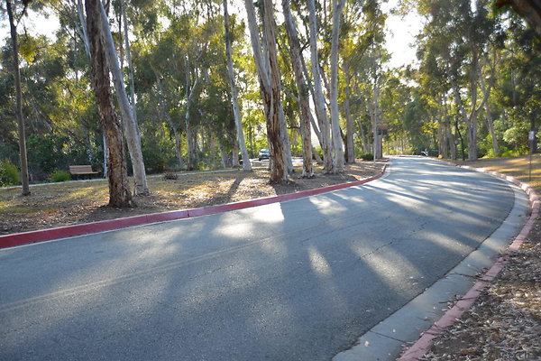 DSC 5345