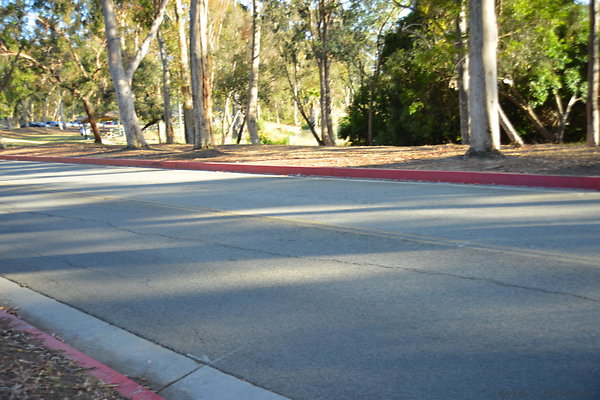 DSC 5332