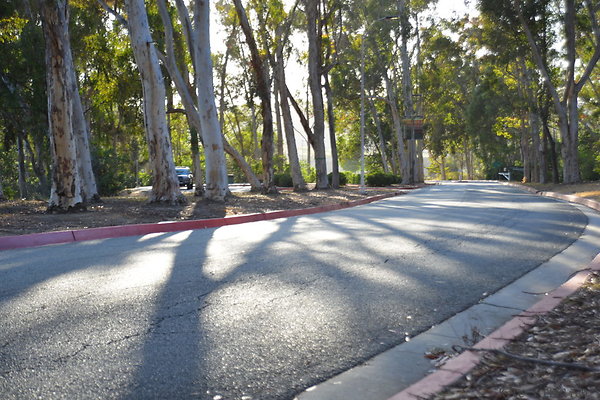DSC 5372