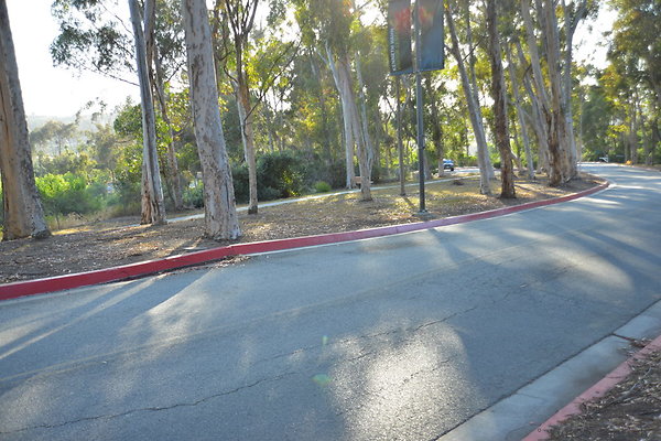 DSC 5334