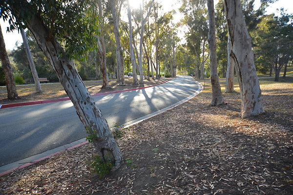 DSC 5346