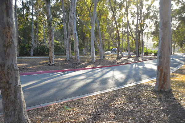 DSC 5358