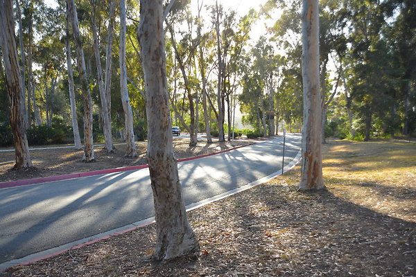DSC 5354