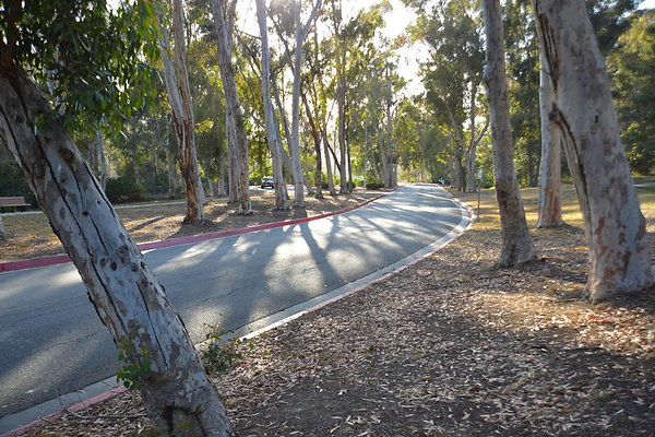 DSC 5350