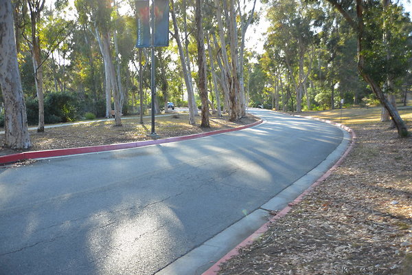 DSC 5330