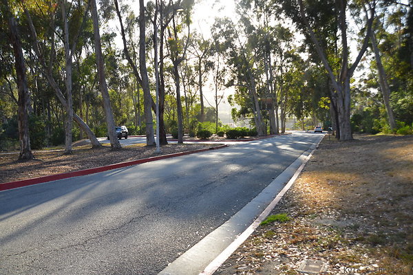 DSC 5435