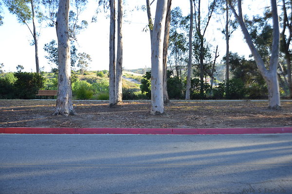 DSC 5433