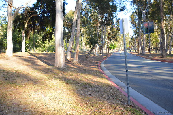 DSC 5431