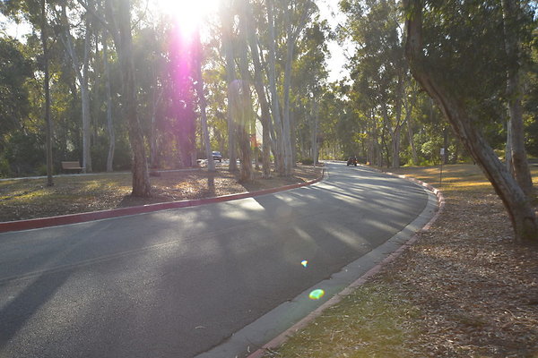 DSC 5340