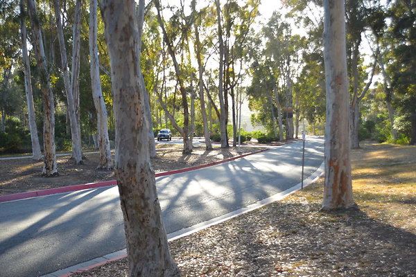 DSC 5355