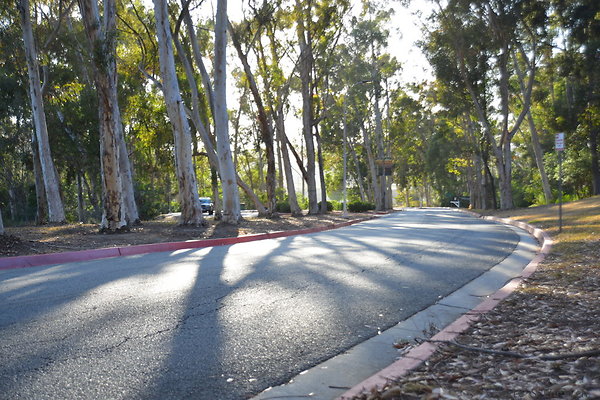 DSC 5368