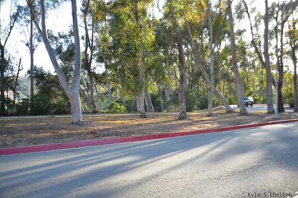 DSC 5425