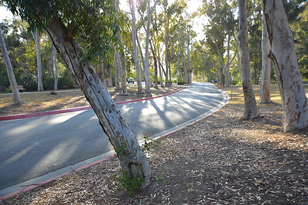 DSC 5347
