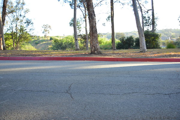 DSC 5390