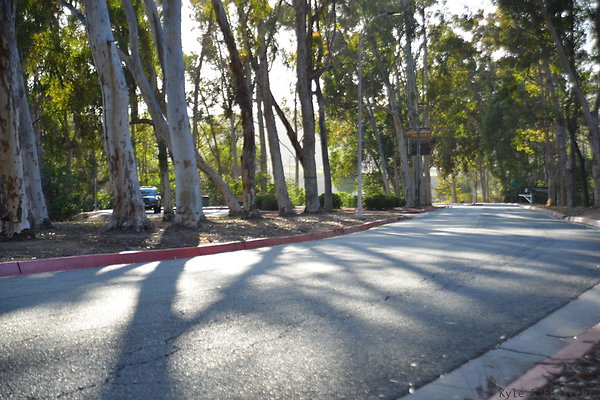 DSC 5369