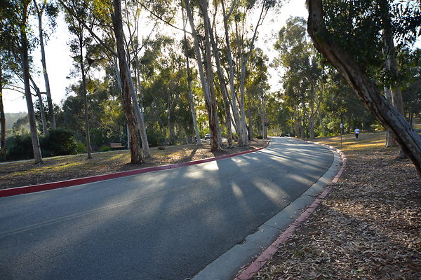 DSC 5342