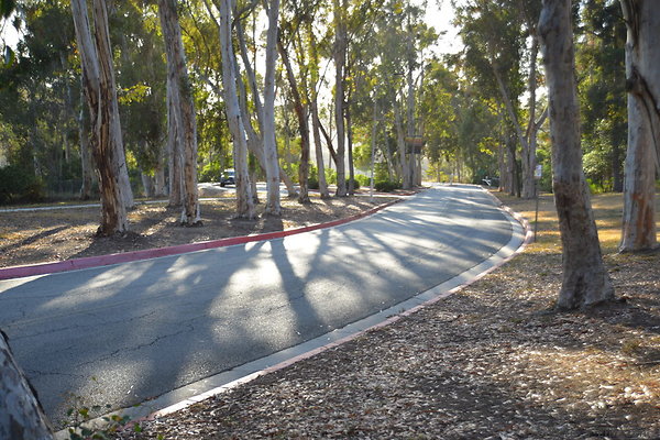 DSC 5351