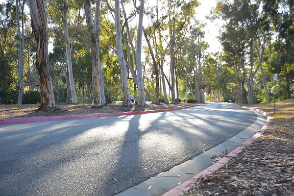 DSC 5381