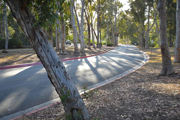 DSC 5348