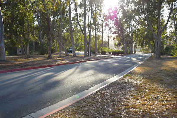 DSC 5417
