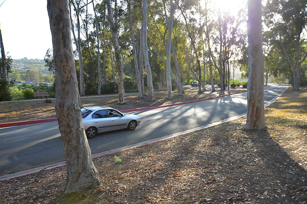 DSC 5363