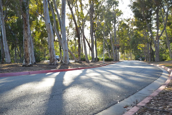 DSC 5382