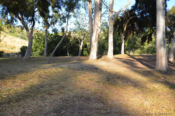 DSC 5430