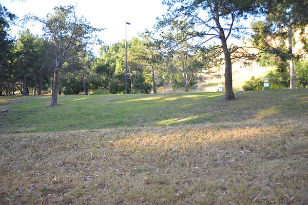 DSC 5428
