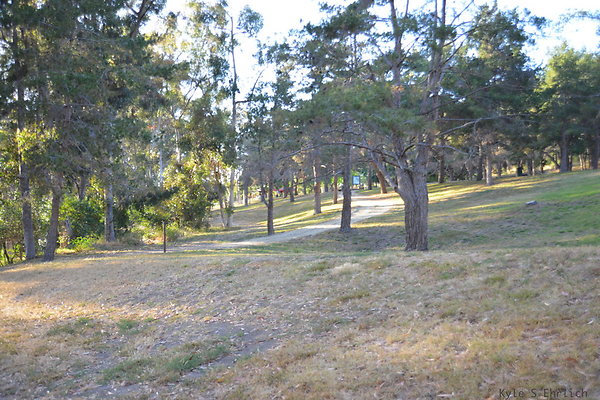 DSC 5427