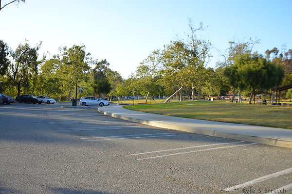 DSC 5615
