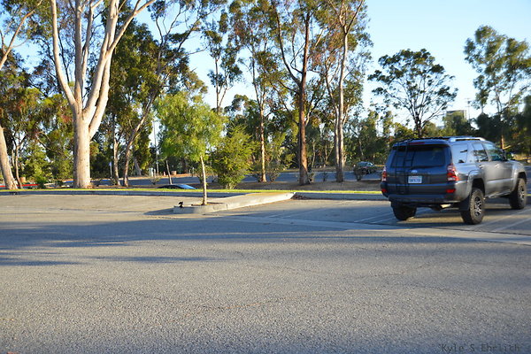 DSC 5623