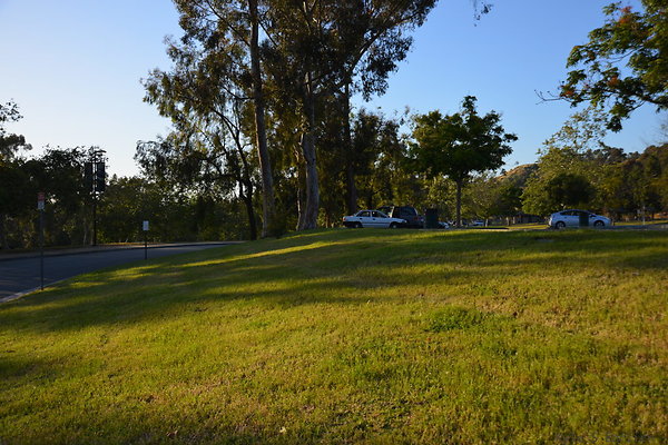 DSC 5635