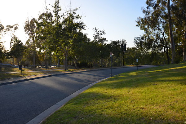 DSC 5634