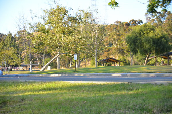 DSC 5663