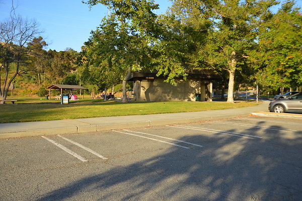DSC 5608