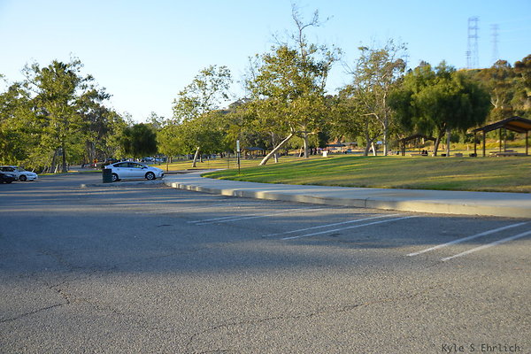 DSC 5603